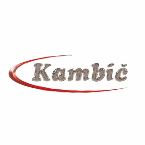 Kambic